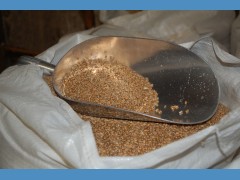 Das Korn, der Ausgangsstoff für Brot